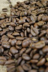 Costa Rica kaffe
