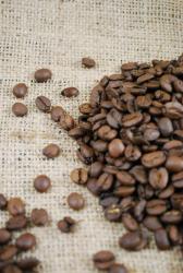 Santos kaffebønner