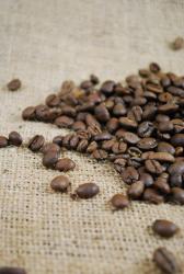 Kaffebønner friskristede, mellemristede